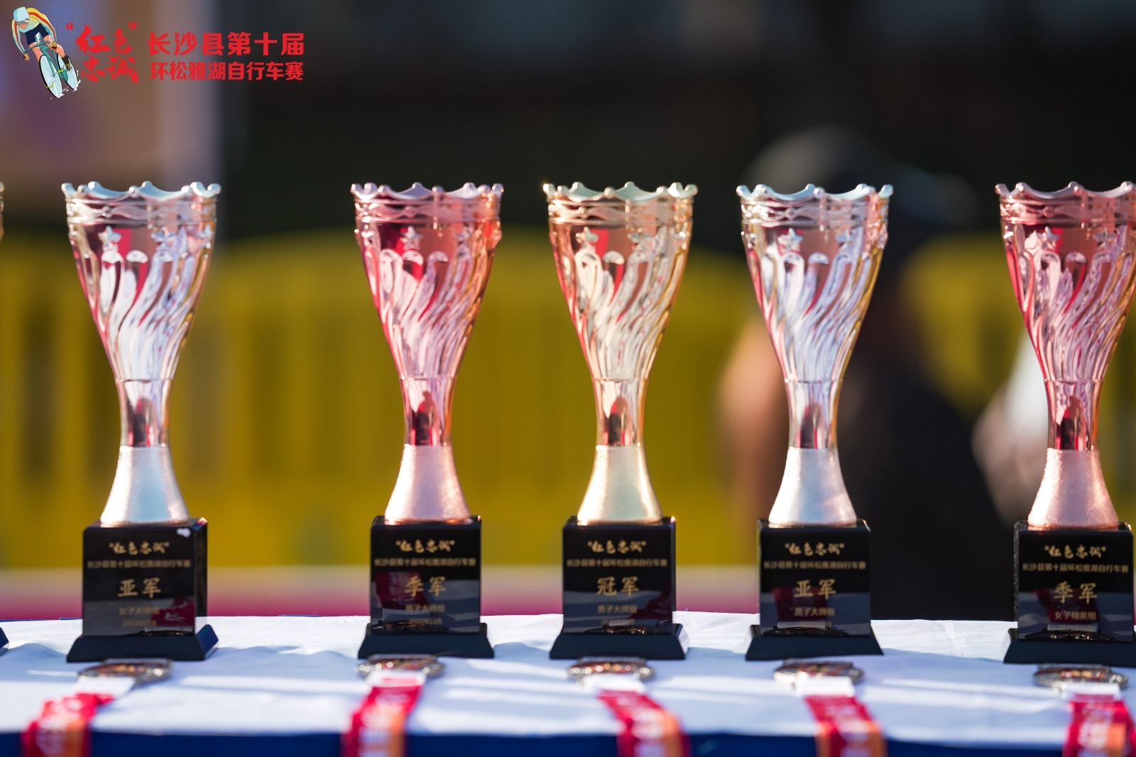 湖南hb火博管理有限公司